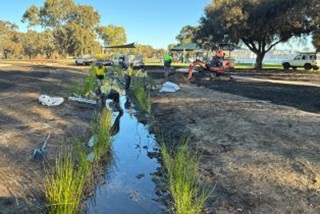 CitycrewsplantingStage2oftheHurlinghamLivingStream